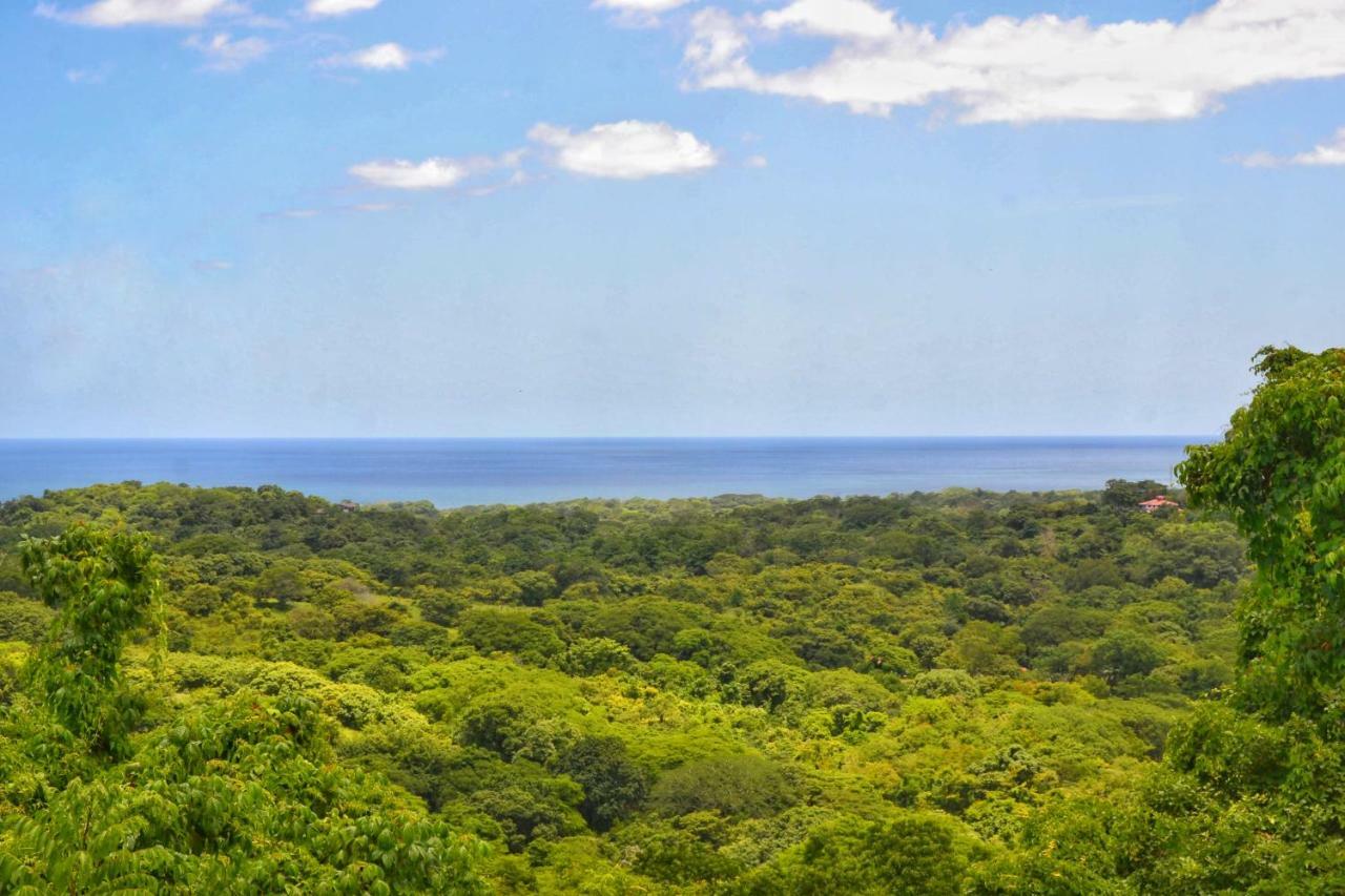 Playa Lagarto Eco Development Villa Paraiso  Bagian luar foto