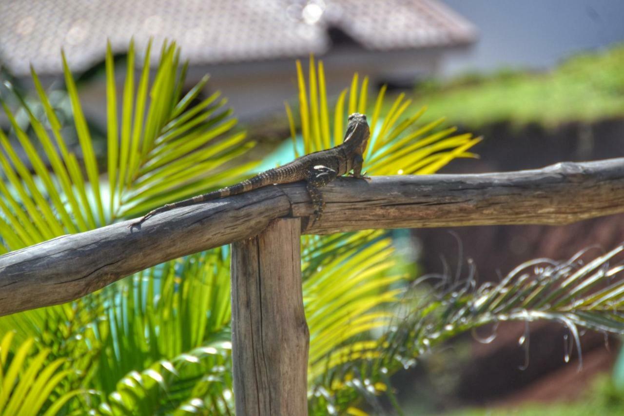 Playa Lagarto Eco Development Villa Paraiso  Bagian luar foto